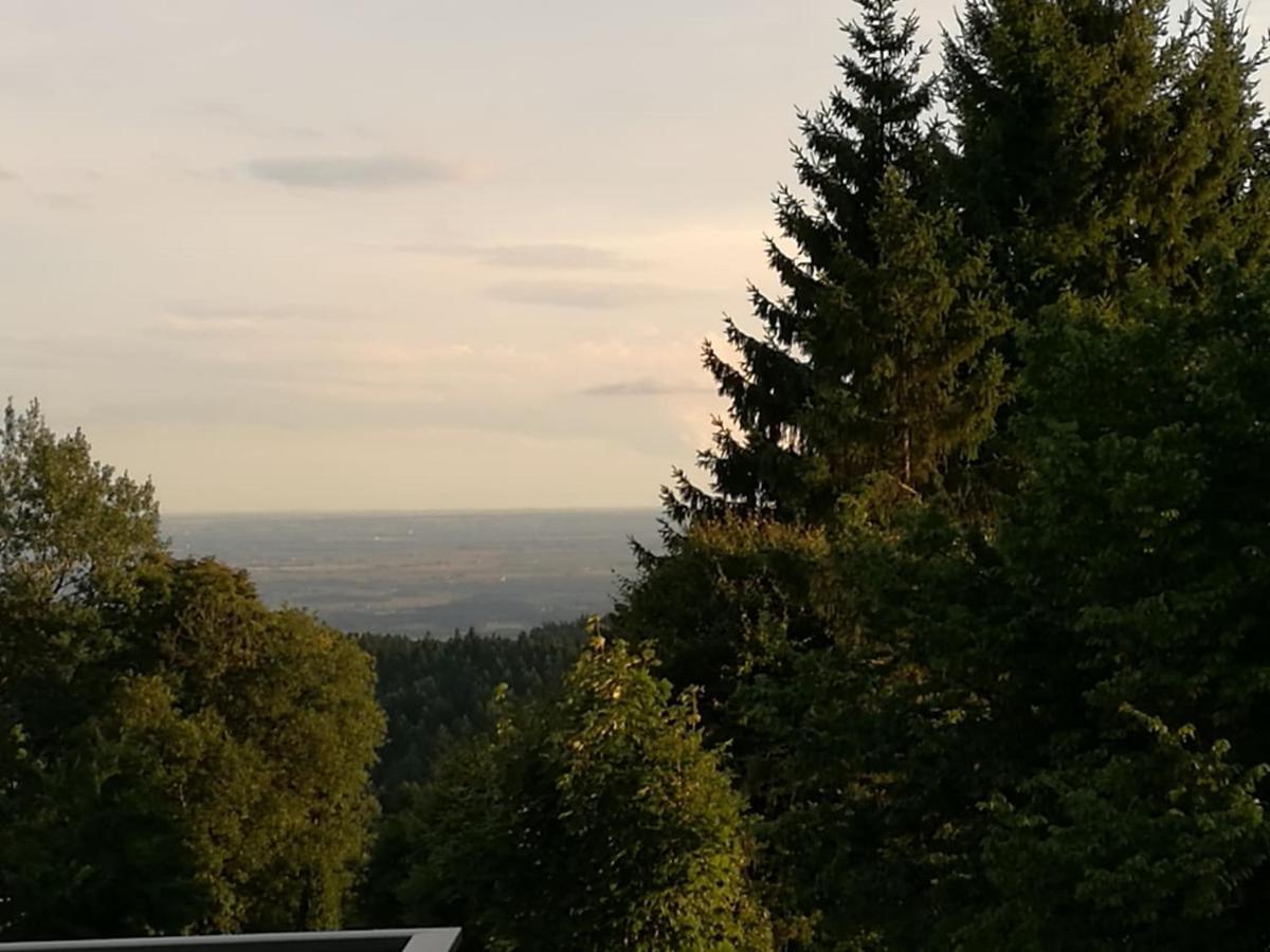 Top Appartment Mit Weitblick Und Late Check-Out Inklusive Aktivcard Санкт Енглмар Екстериор снимка